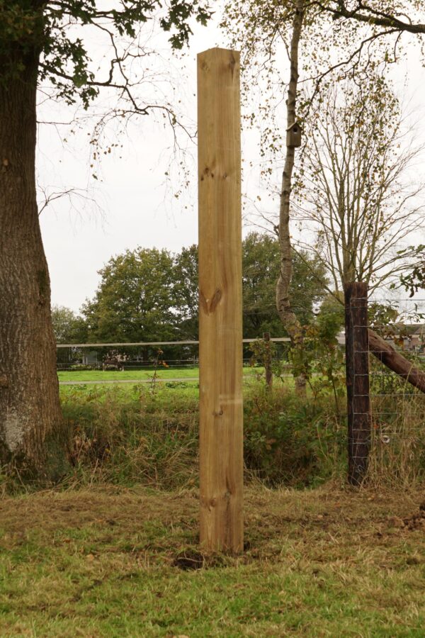 Houten paal celfix -02